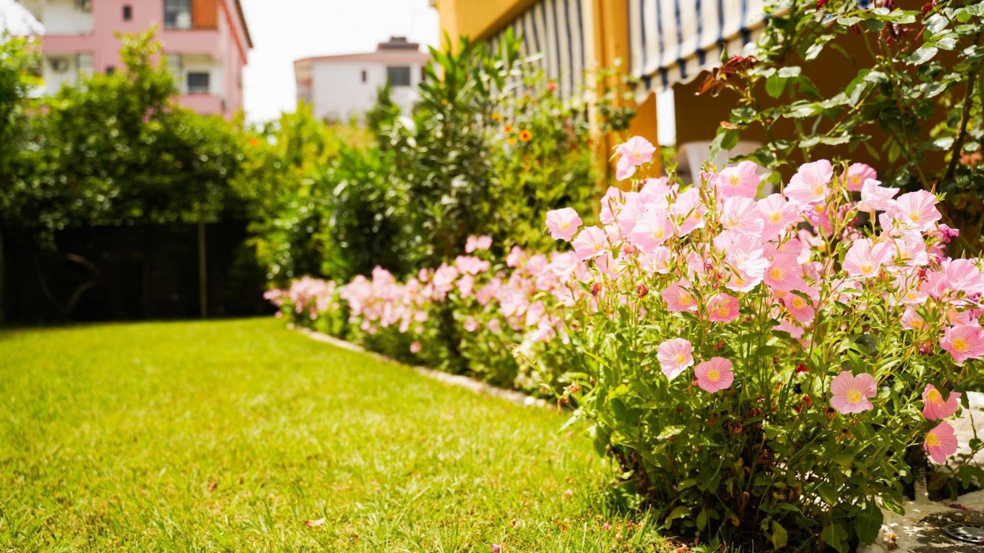 Vila Aliaj Luxury Apartment With 2 Rooms With Private Wonderful Terrace Durrës Kültér fotó